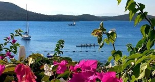 Bitez Denizi Temiz mi? Deniz Suyu Kalitesi ve Güncel Durum