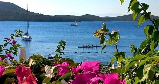 Bitez Denizi Temiz mi? Deniz Suyu Kalitesi ve Güncel Durum